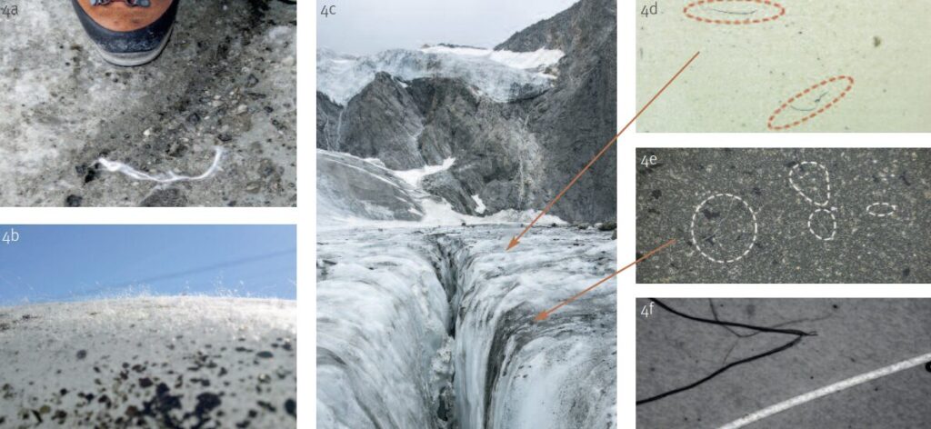 Fasern des Polypropylenlies