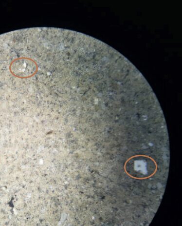 Mikroskopaufnahme (20x) einer geschmolzenen Eisprobe