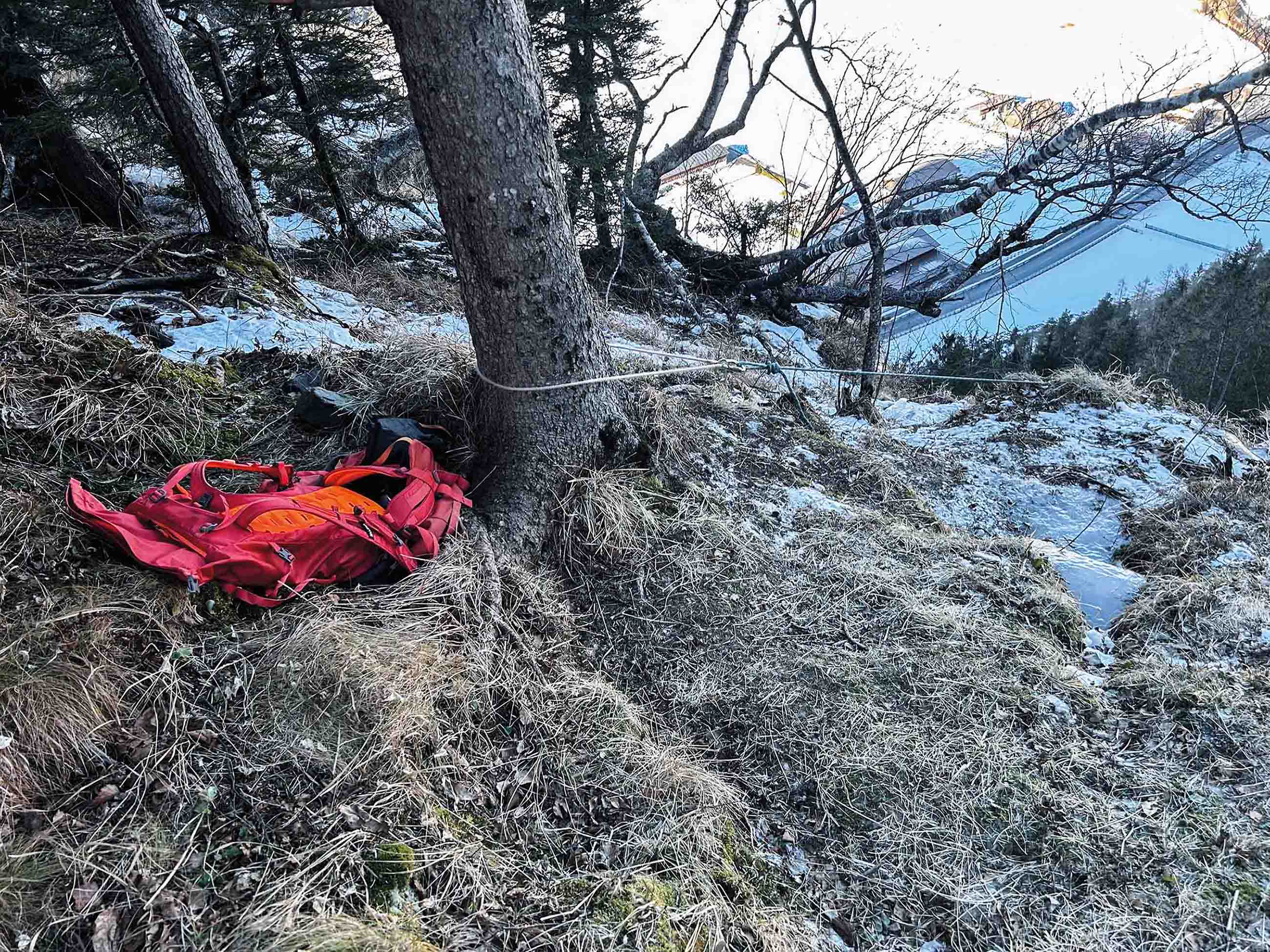Um Baum gelegte Dyneemaschlinge zur Fixierung des Seilstranges.